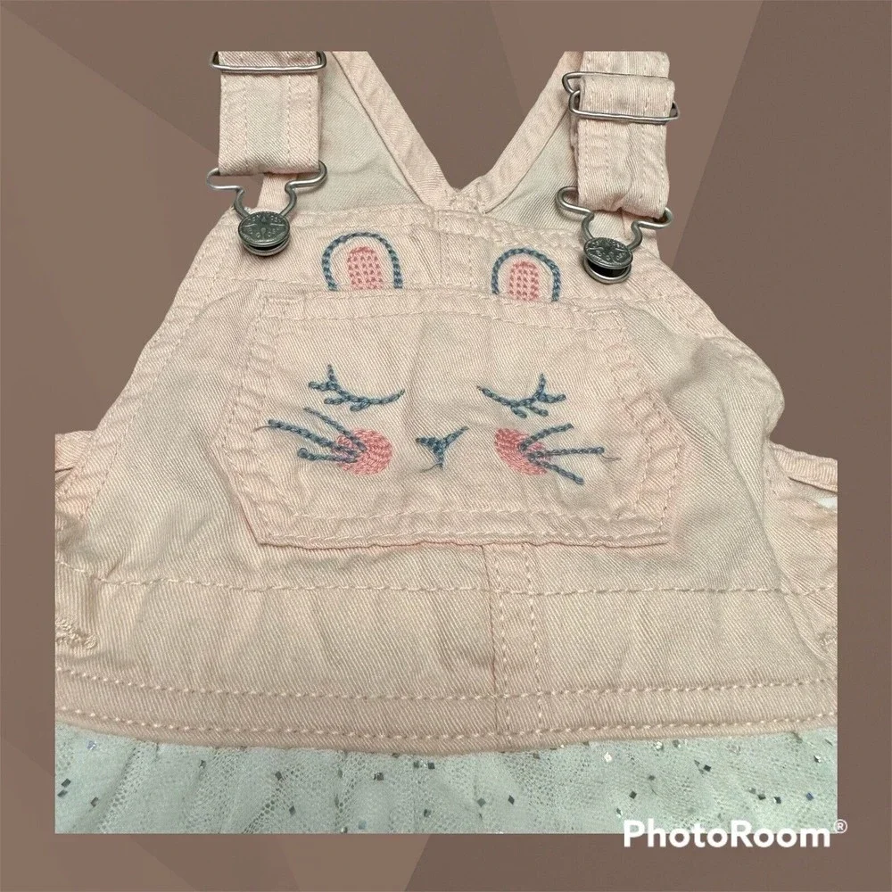 Oshkosh Baby Girl 18 Mths Pink Bunny Overall Dress W/Glitter Skirt